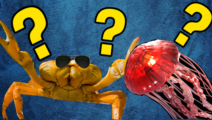 Sea Creature Thumbnail