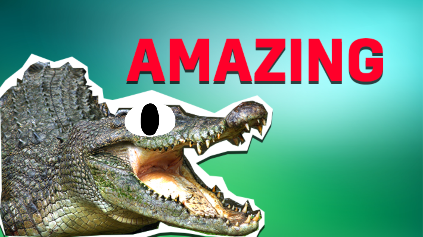 Crocodile and the word 'amazing'