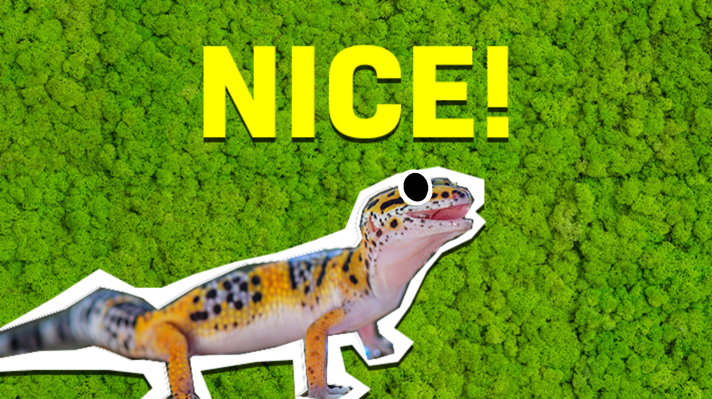 Gecko and the word 'nice'