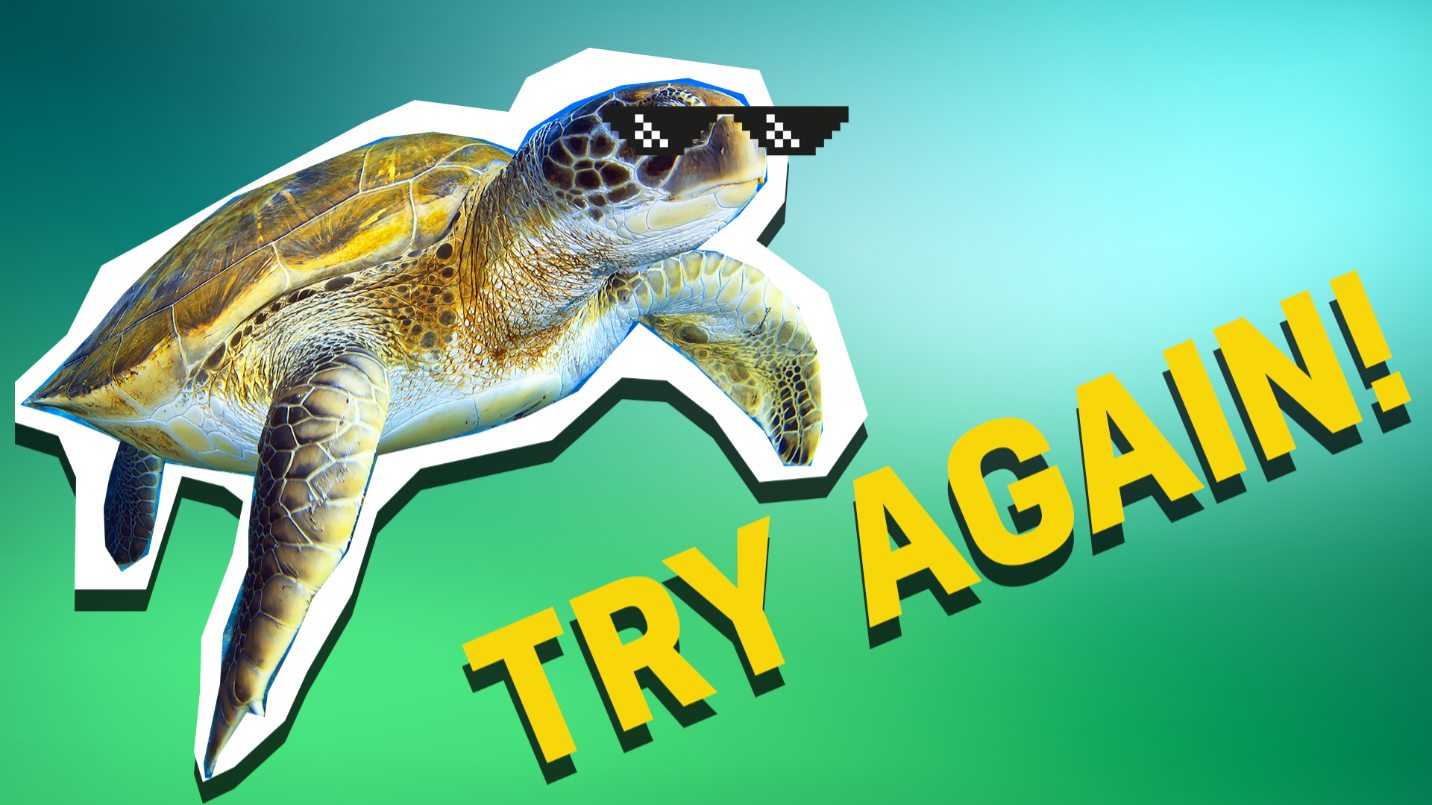 Turtle and the words 'try again'