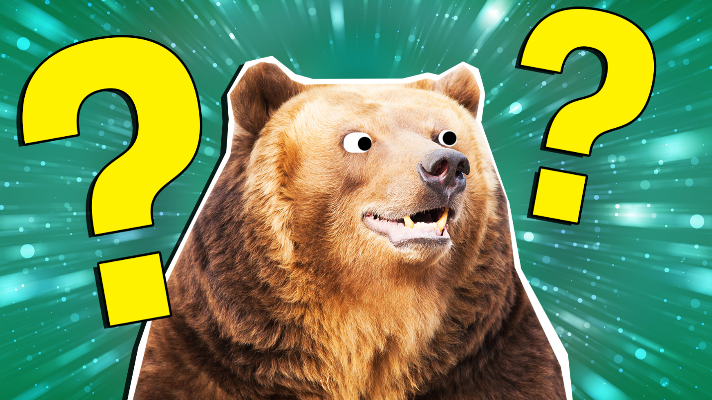 The Ultimate Famous Bears Quiz