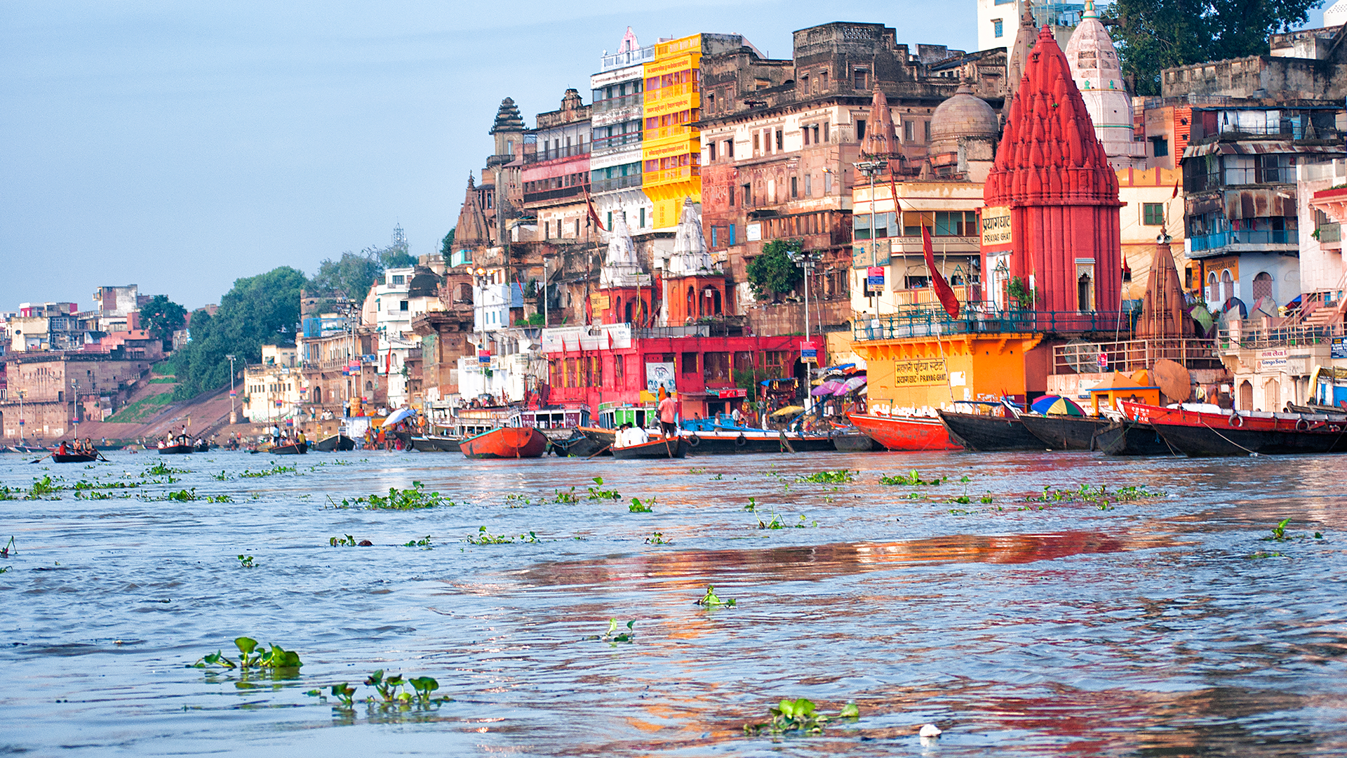 The Ganges 