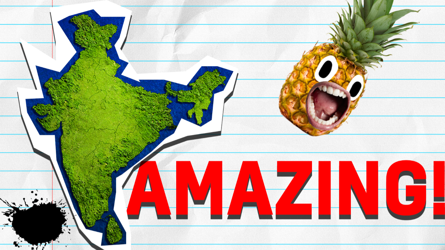 Map of India with Pinapple and amazing on lined background