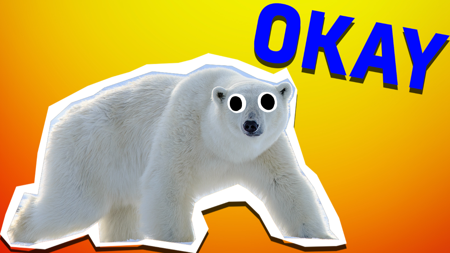 Polar bear and the word okay on an orange background