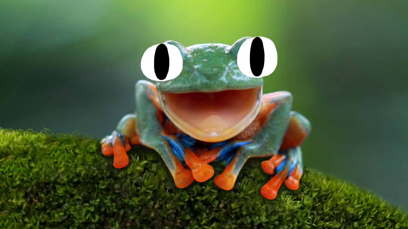 A happy frog
