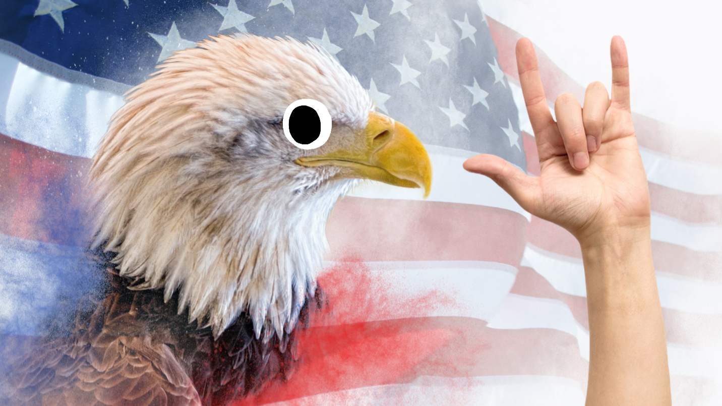 An eagle in front of a USA flag