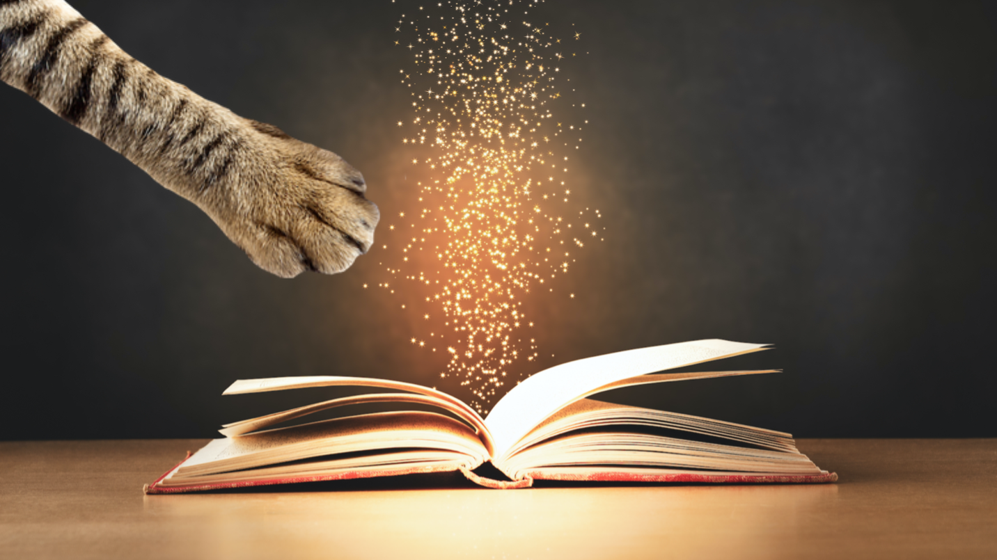 A cat's paw reaching towards a magical book