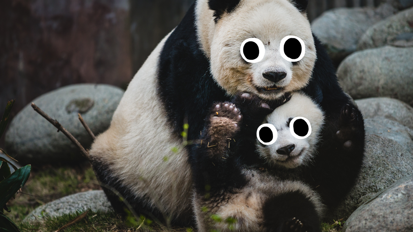 Panda and cub 