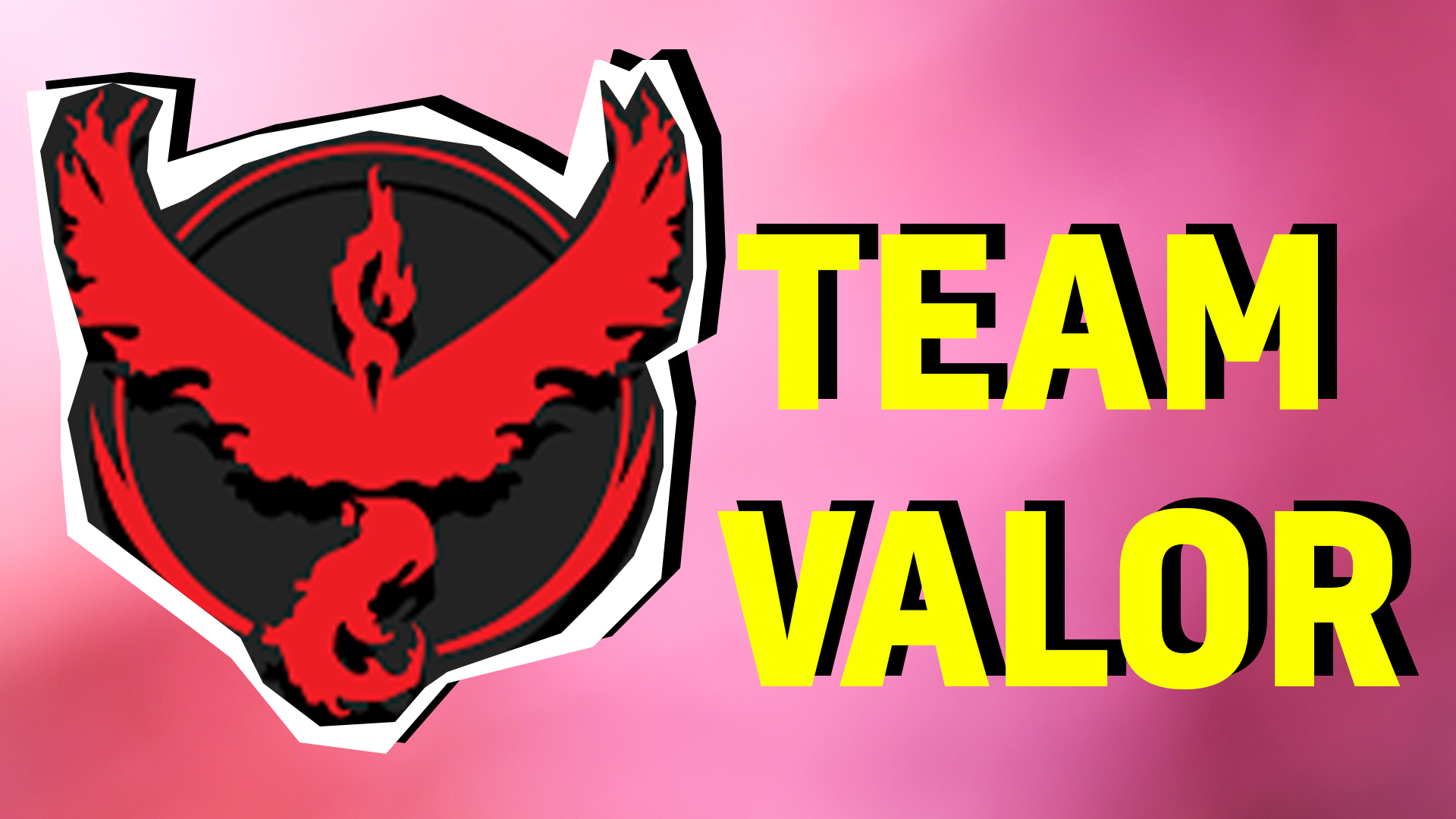 Team Valor Result