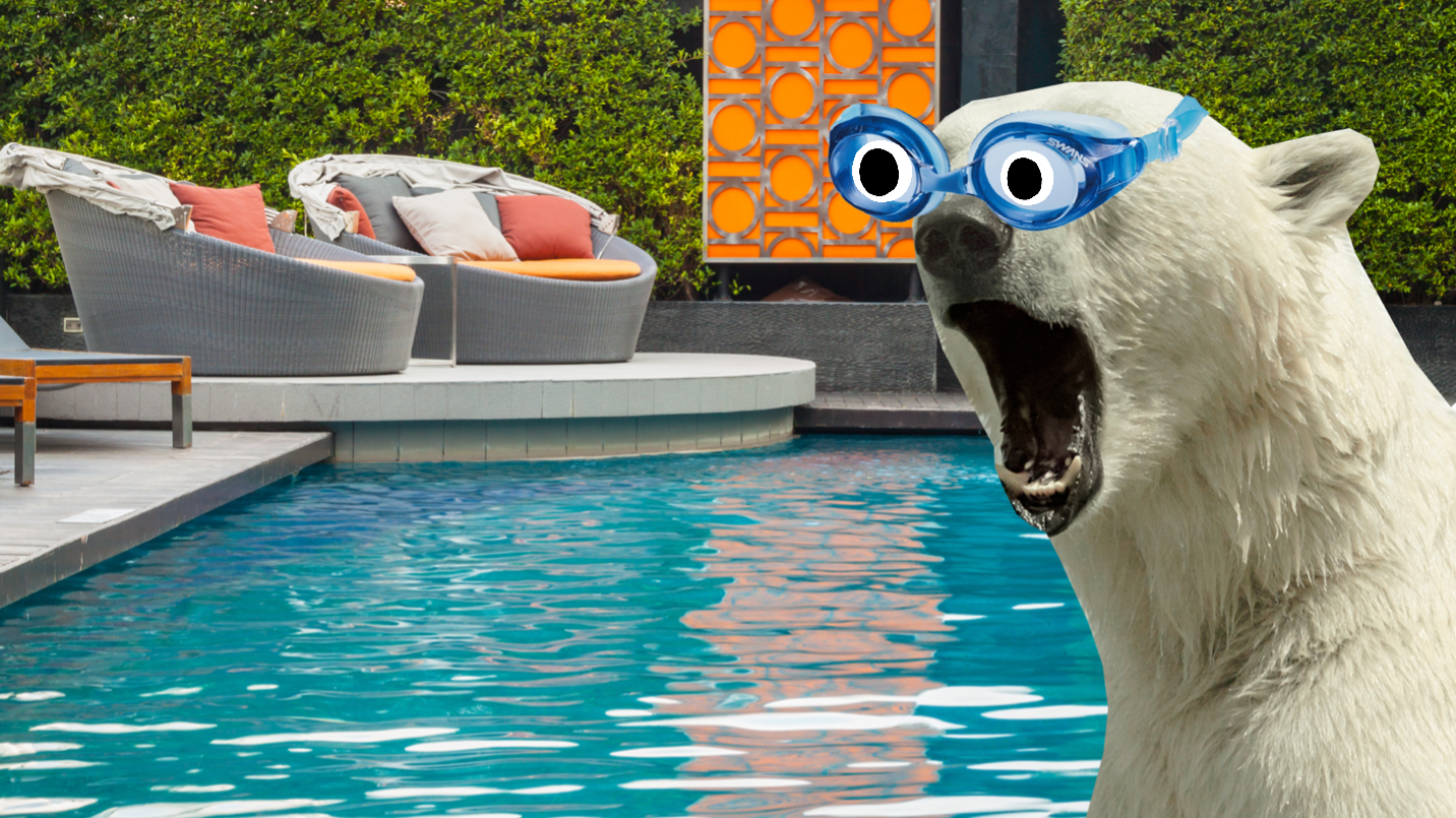 A polar bear in a swimming pool 