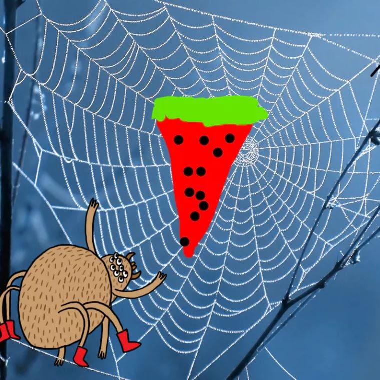 Watermelon in a spiders web - Complete the Drawing