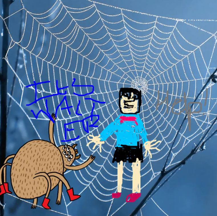 Walter in a Spider web - Complete the Drawing