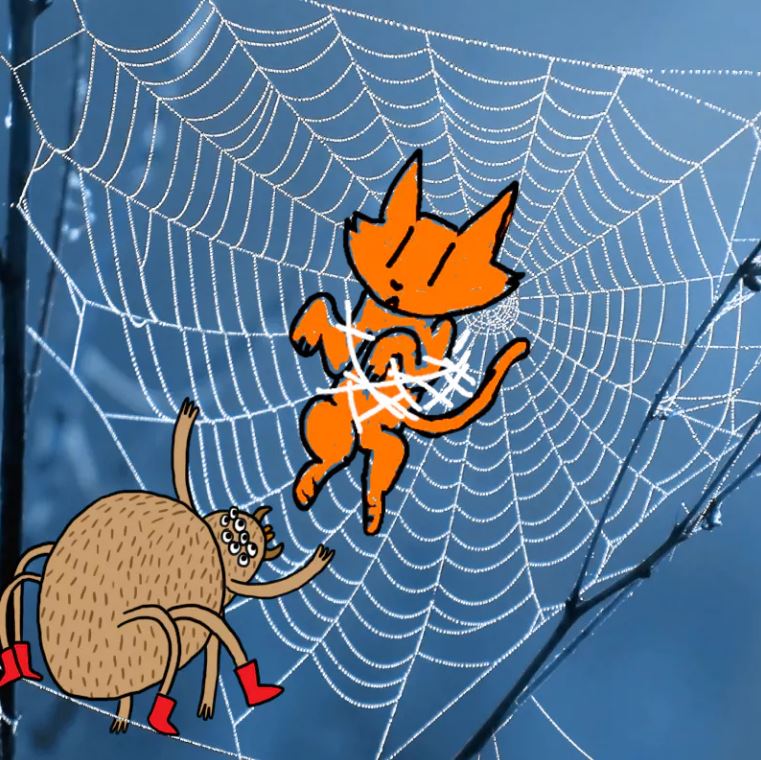 Cat in a spider web