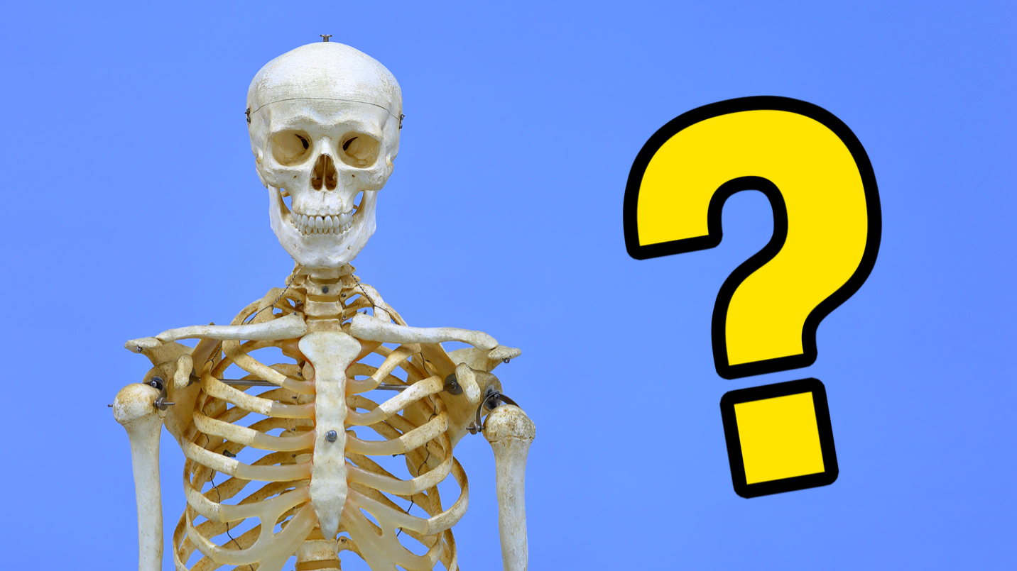 Skeleton and question mark