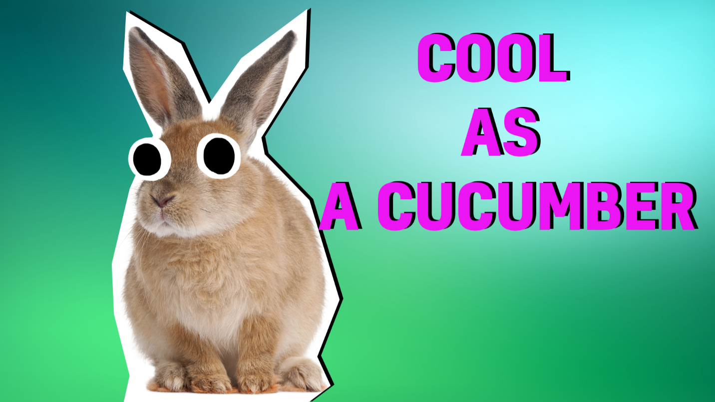 Cool as a cucumber result