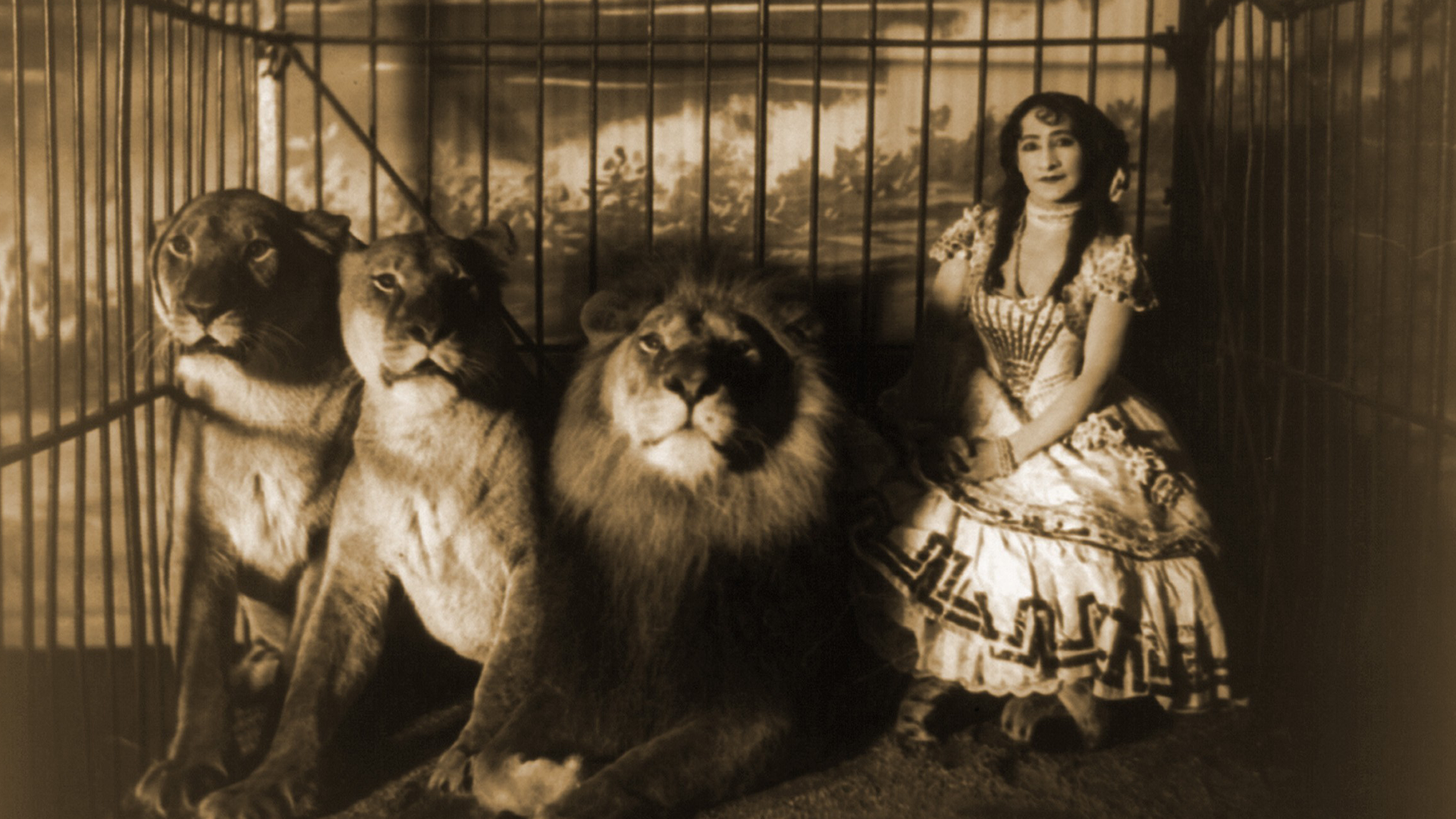 Woman and lions