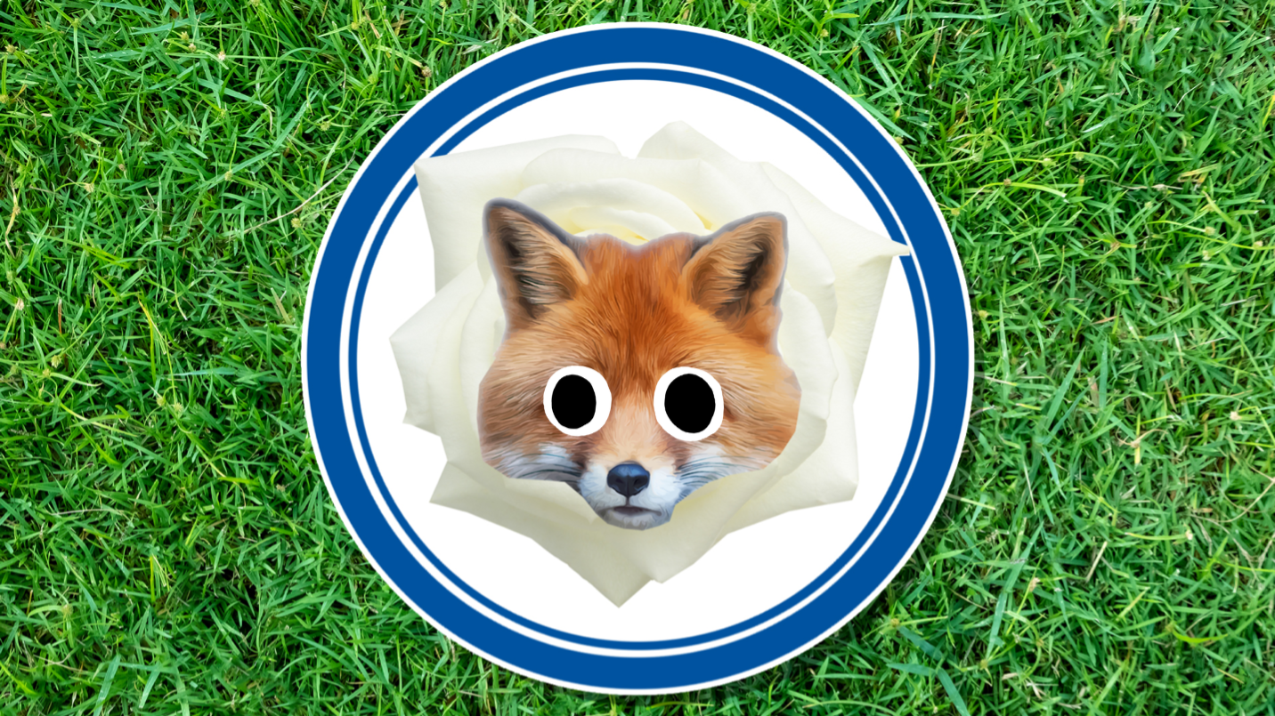 A fox and a white flower