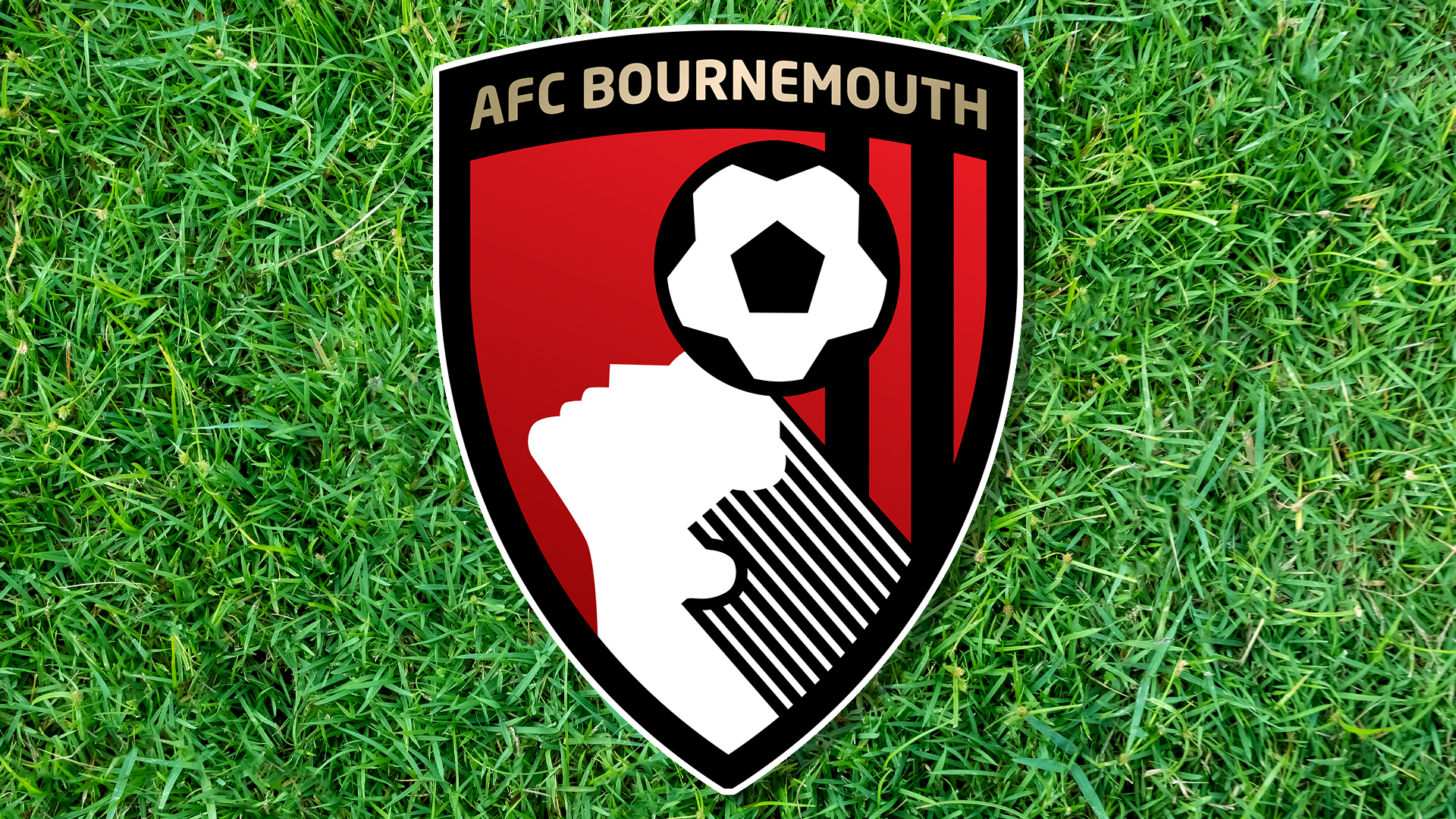 AFC Bournemouth 