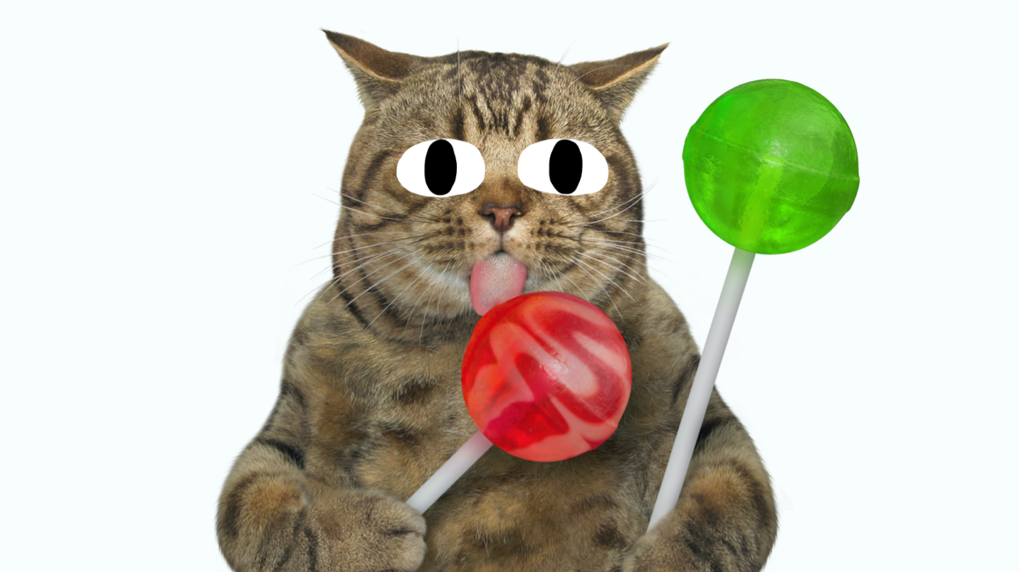 A cat holding two lollipops