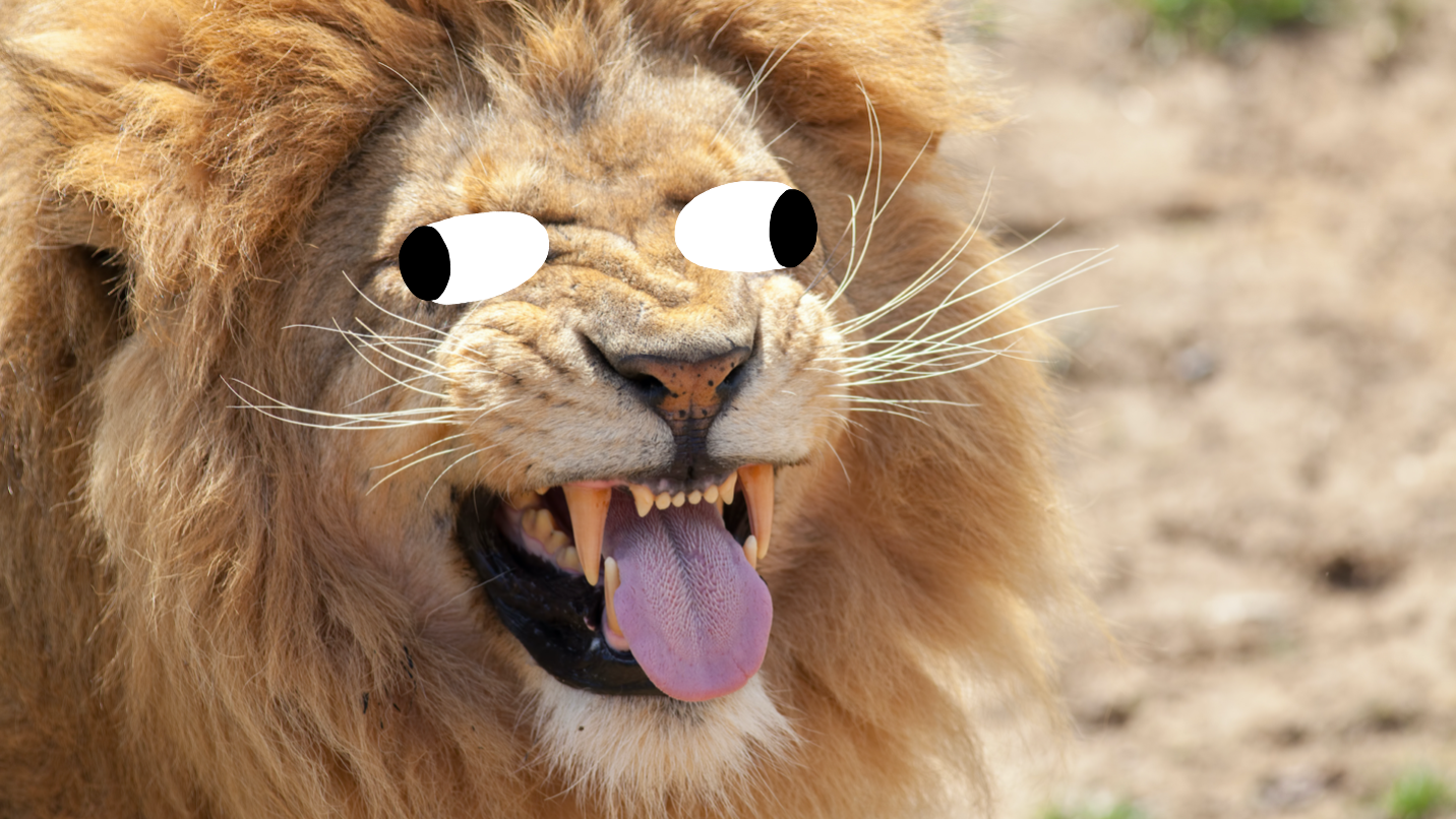 A lion having fun