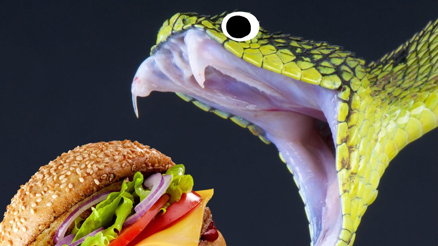 A snake biting a burger  