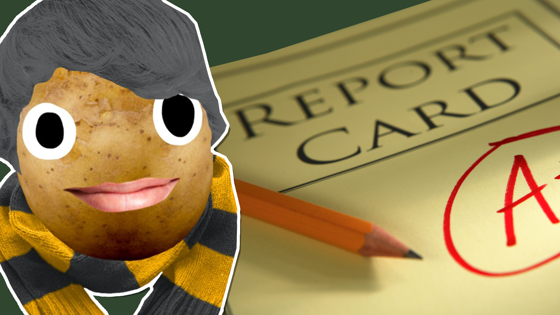 Newt Scamander and a good report card