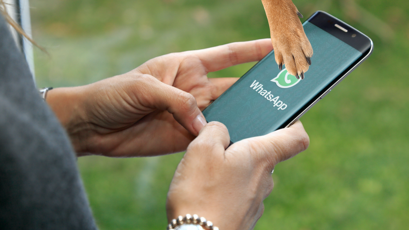 A person using WhatApp on their smartphone