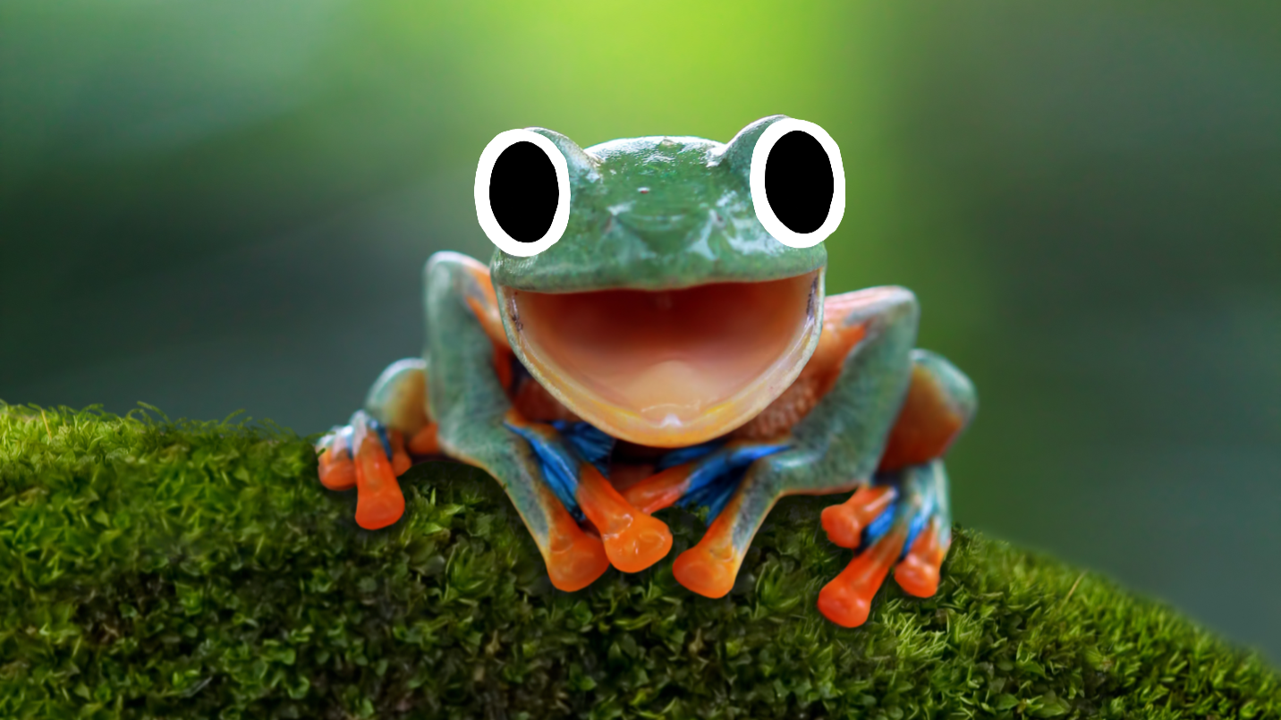 A laughing frog