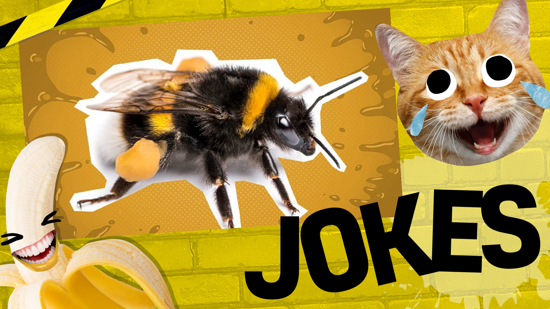 Funny bee jokes: a bee on a yellow background