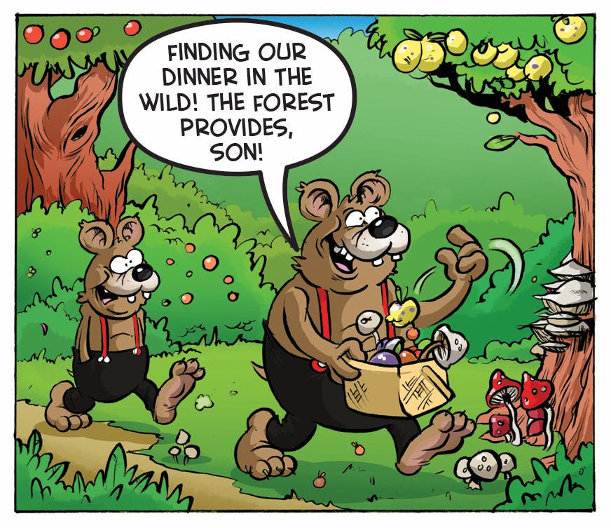 Three Bears comic strip from the Beano.'Finding our dinner in the wild! The forest provides, son!'