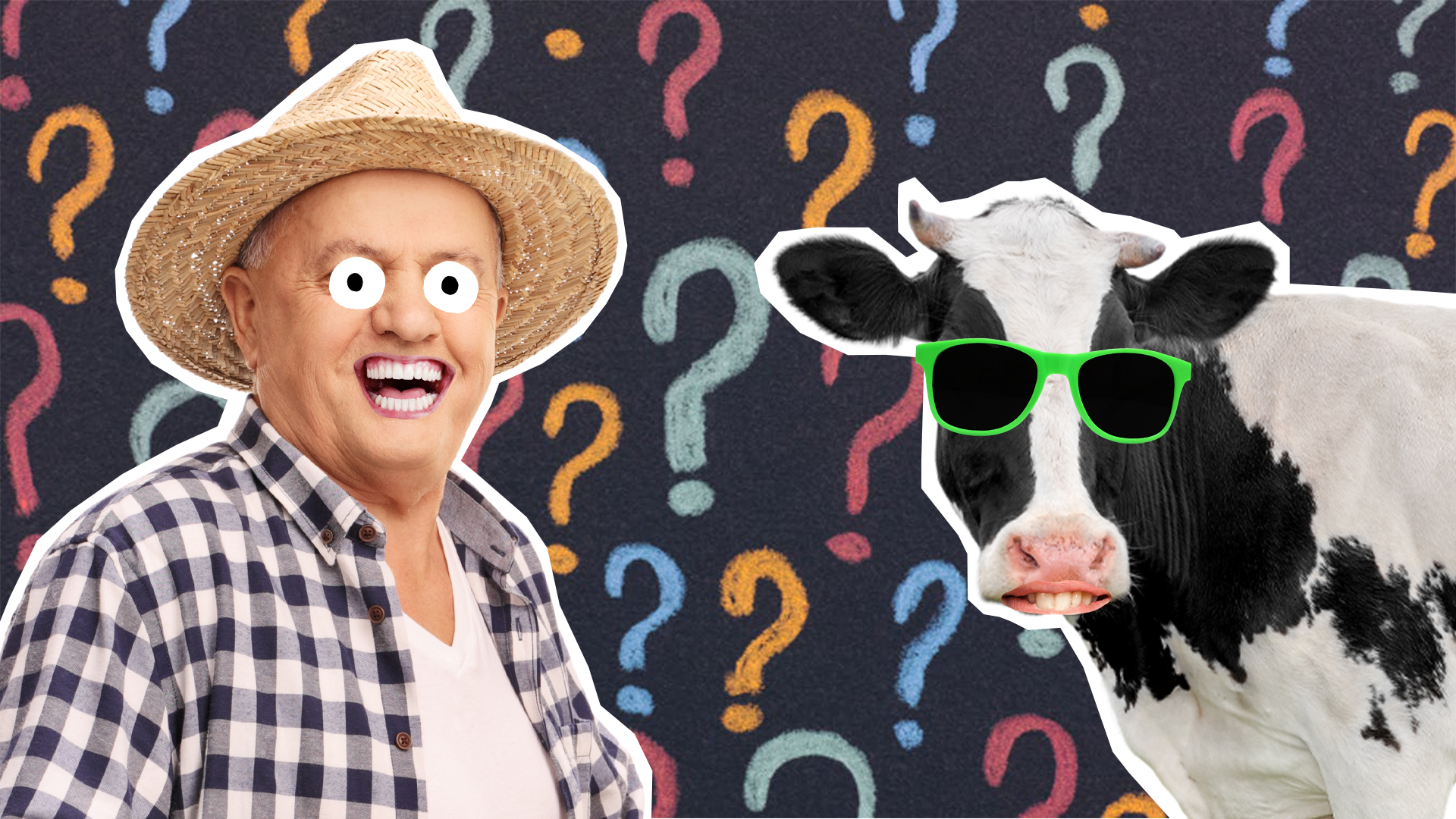 A grinning farmer and a cow wearing green sunglasses
