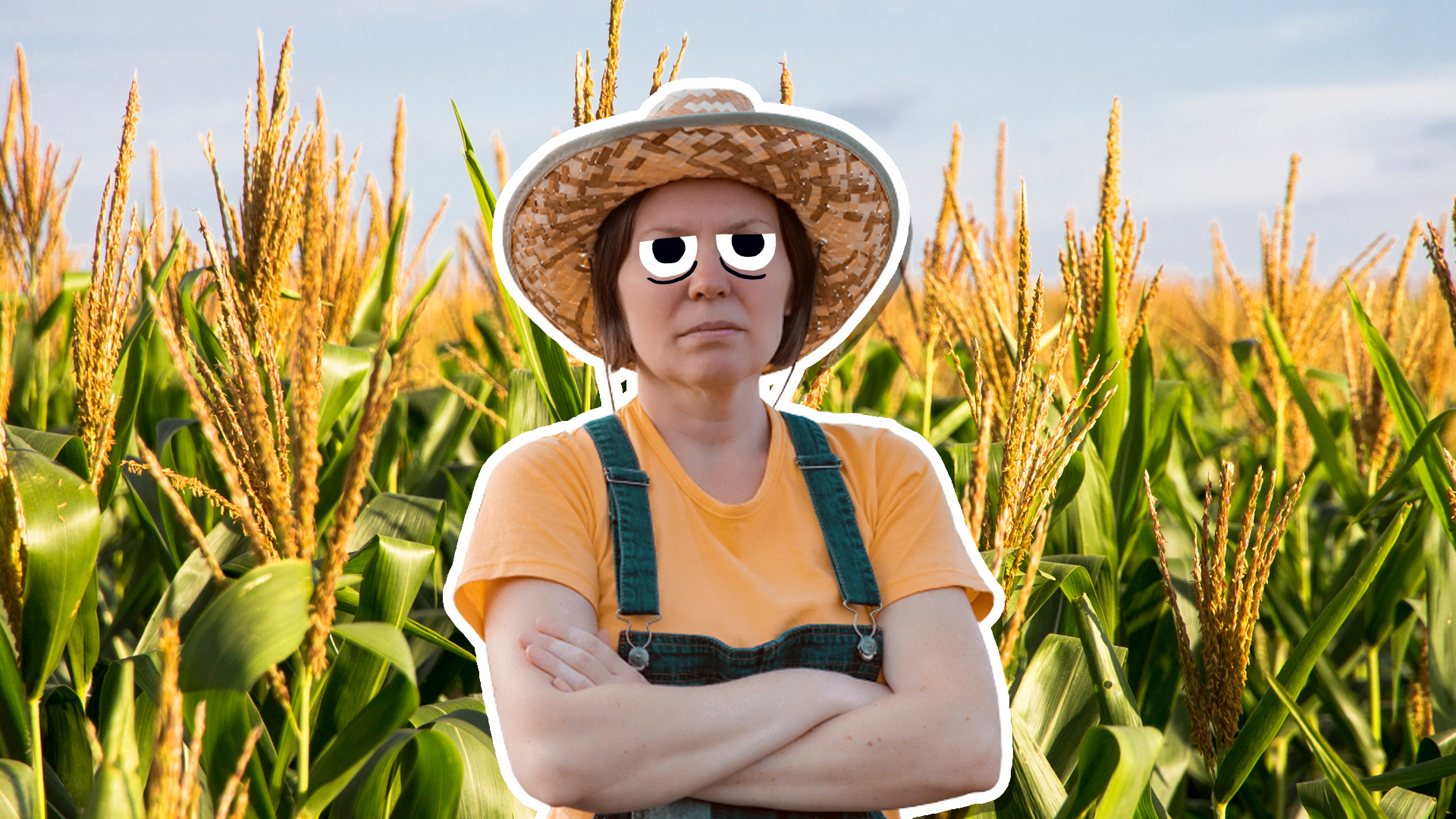 A farmer in a corn field