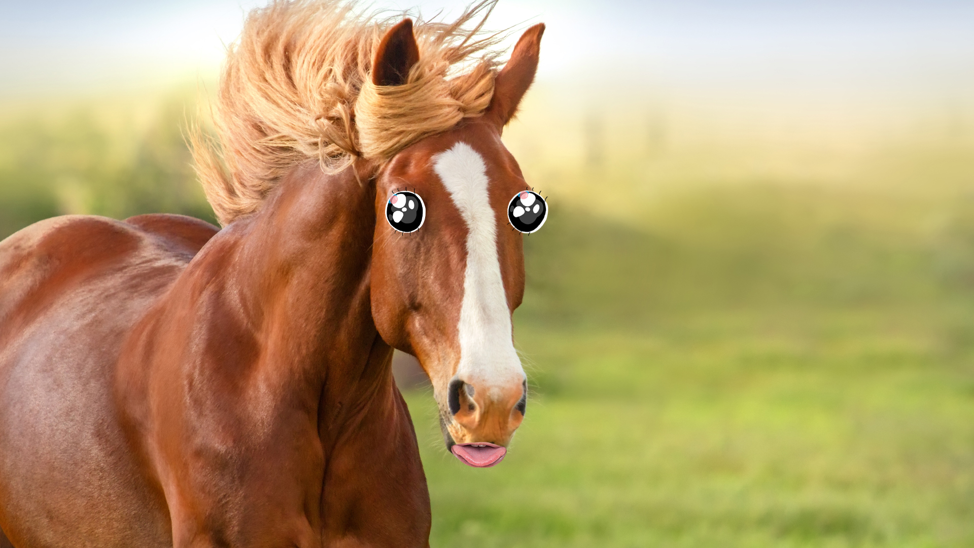 A horse with long flowing hair