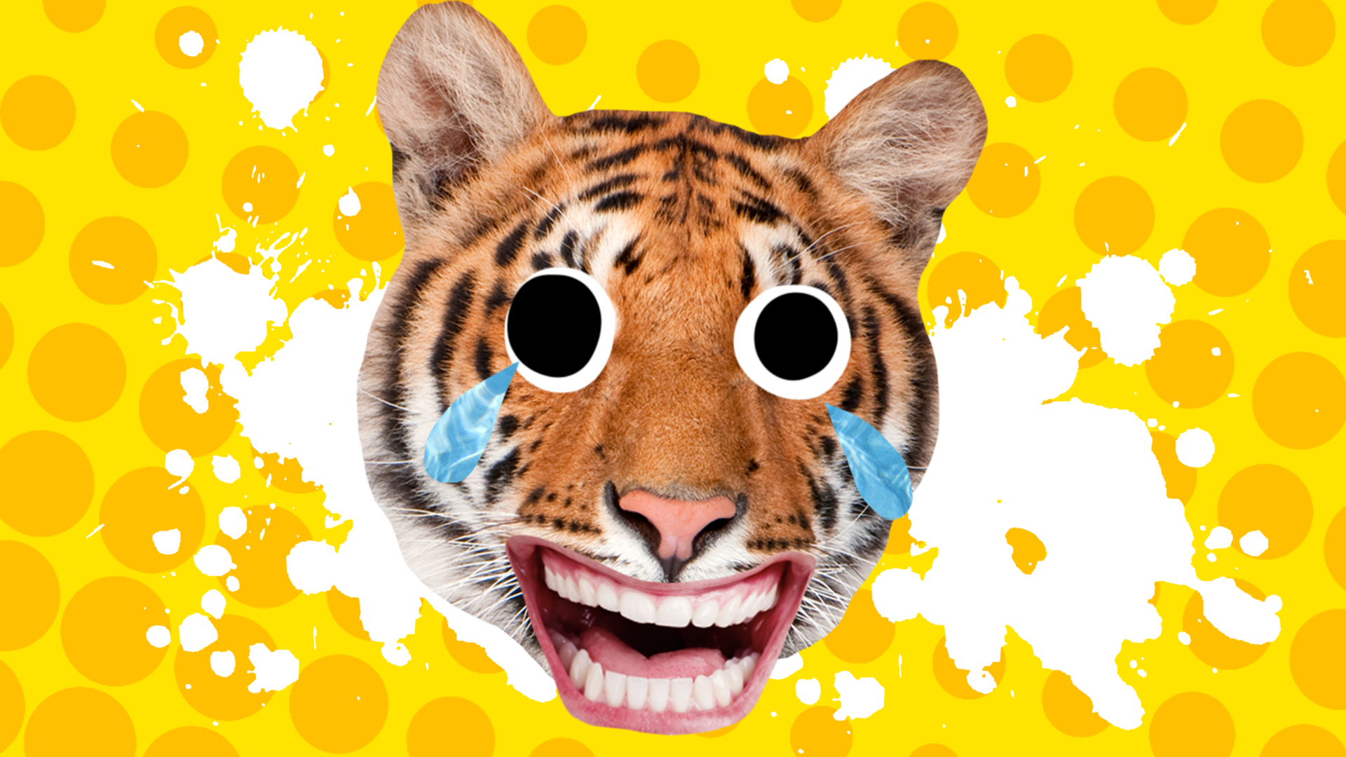 A laughing Bengal tiger in front of a yellow spotted background