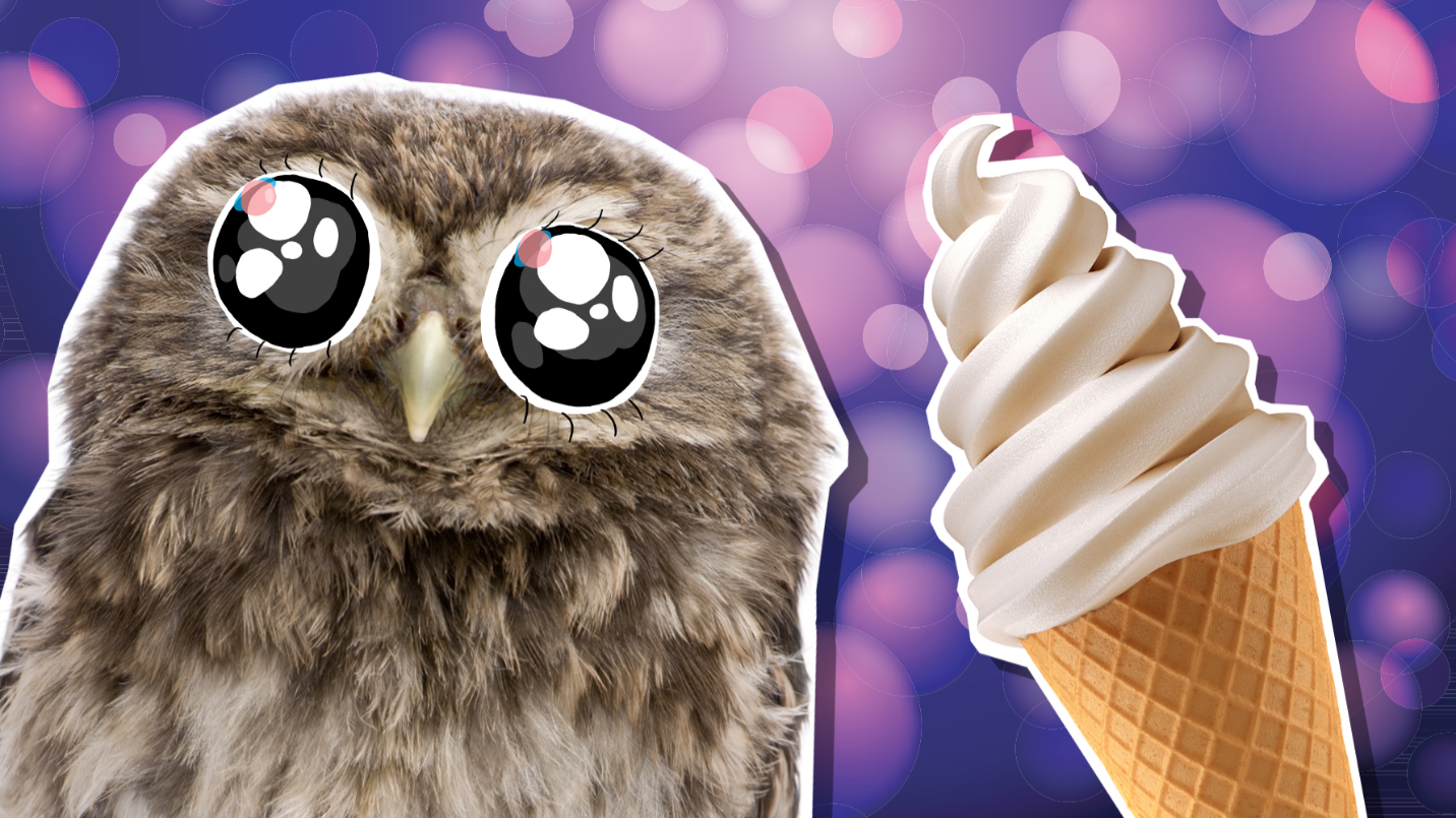 An owl with an ice cream cone