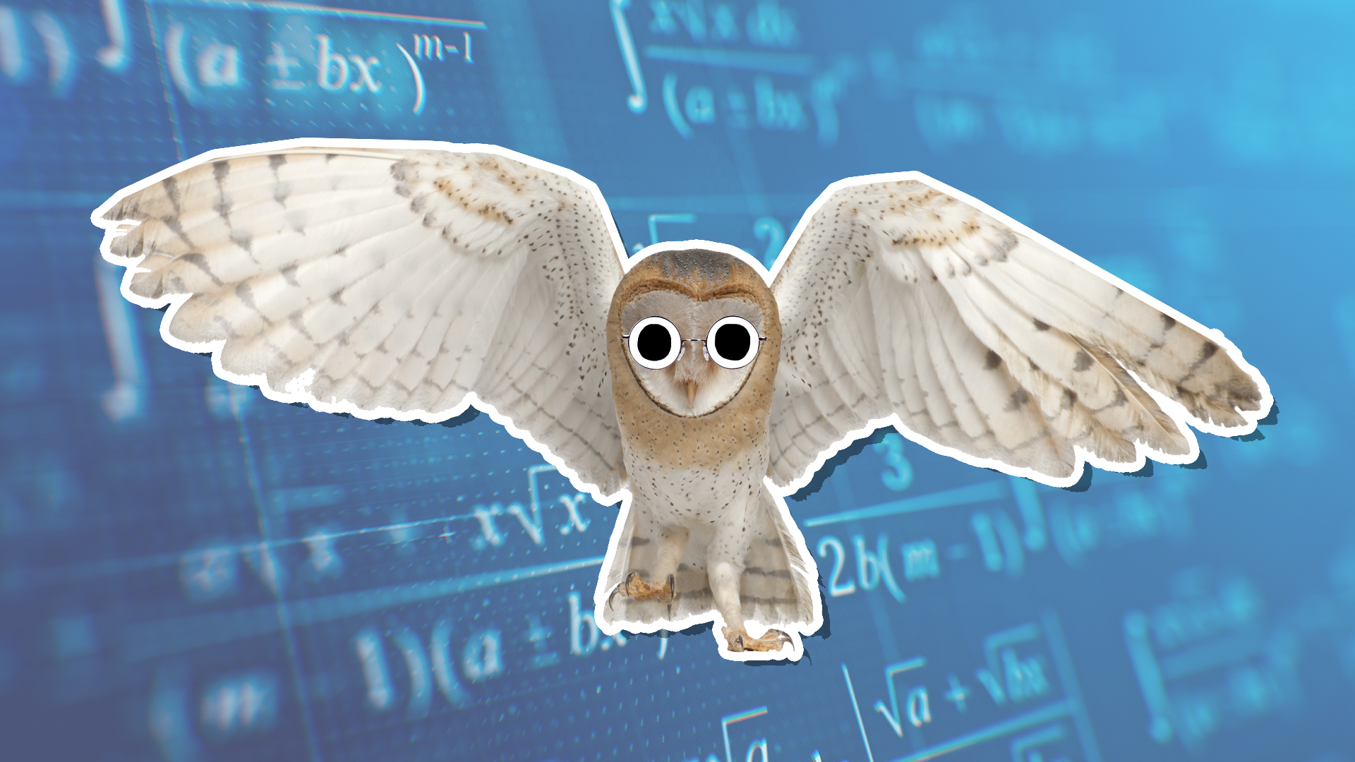 Algebra owl