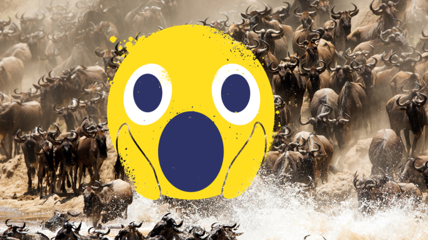 Wildebeest and shocked emoji
