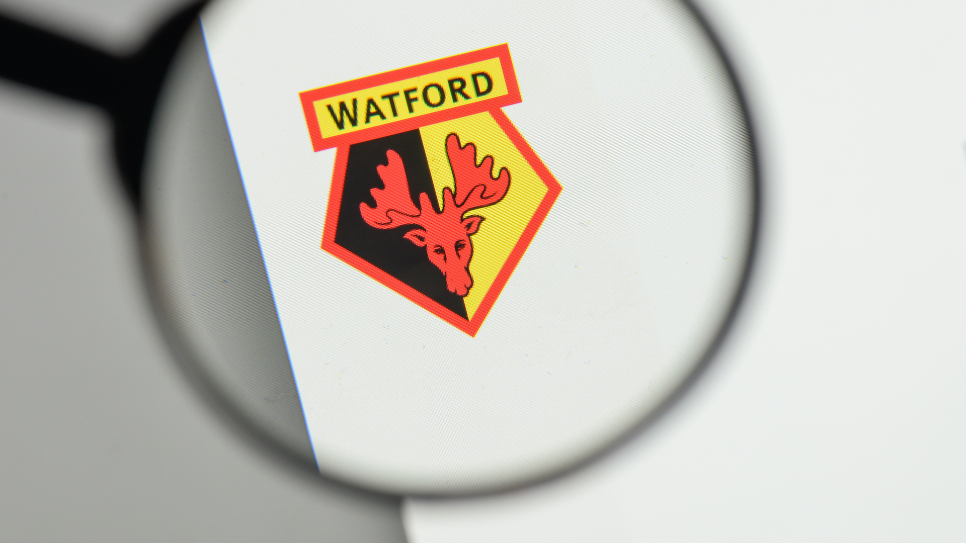 Watford's club badge