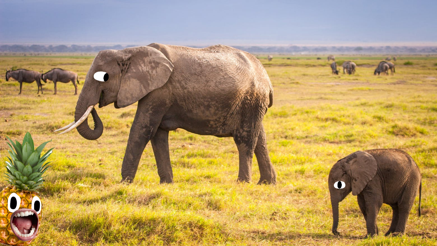 An elephant and a slightly smaller elephant