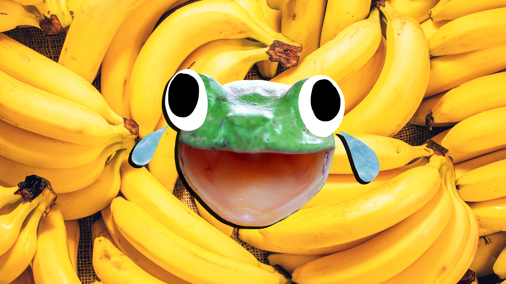 A laughing green frog in front of lots of bananas