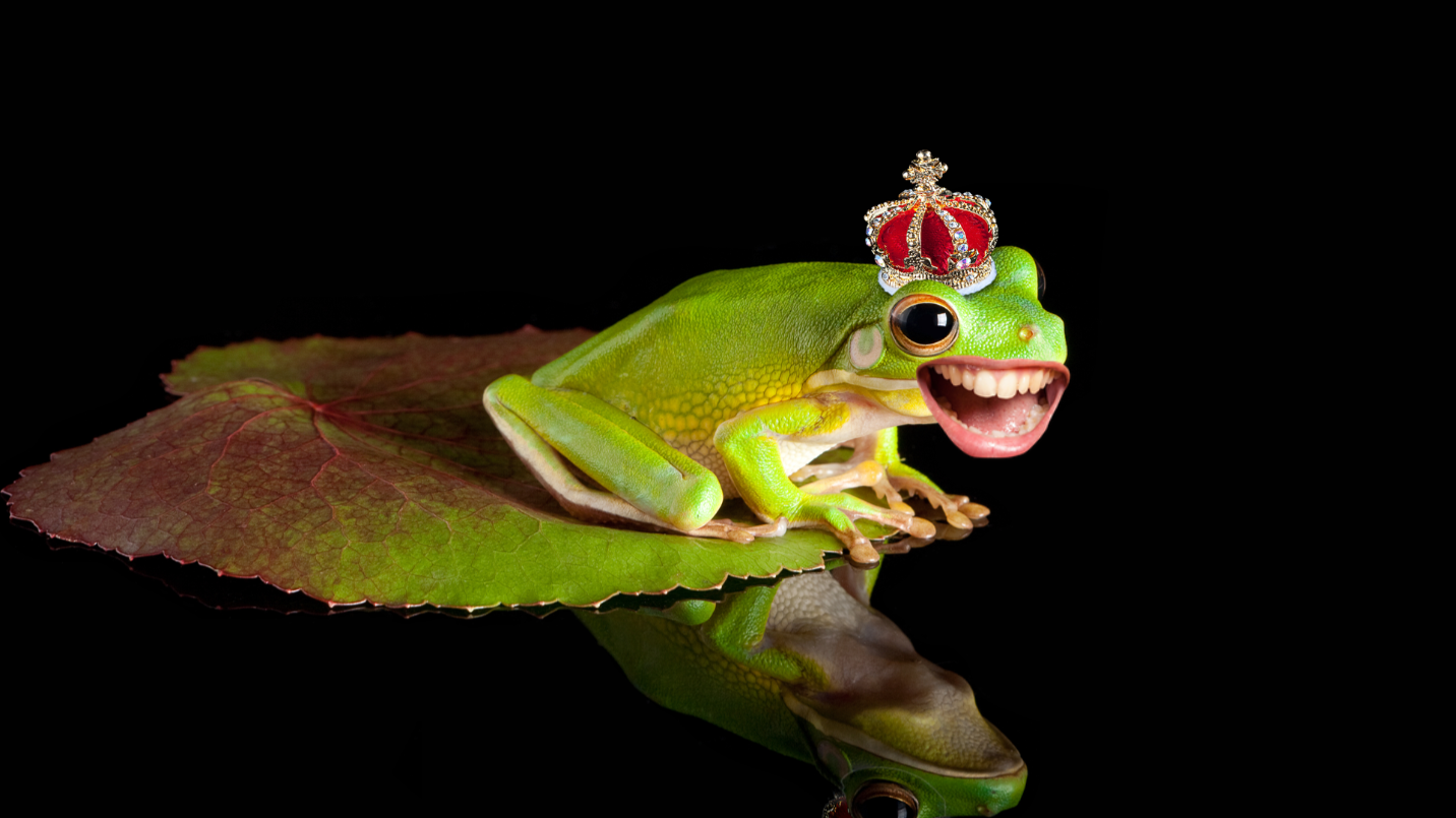 Frog in crown on leaf