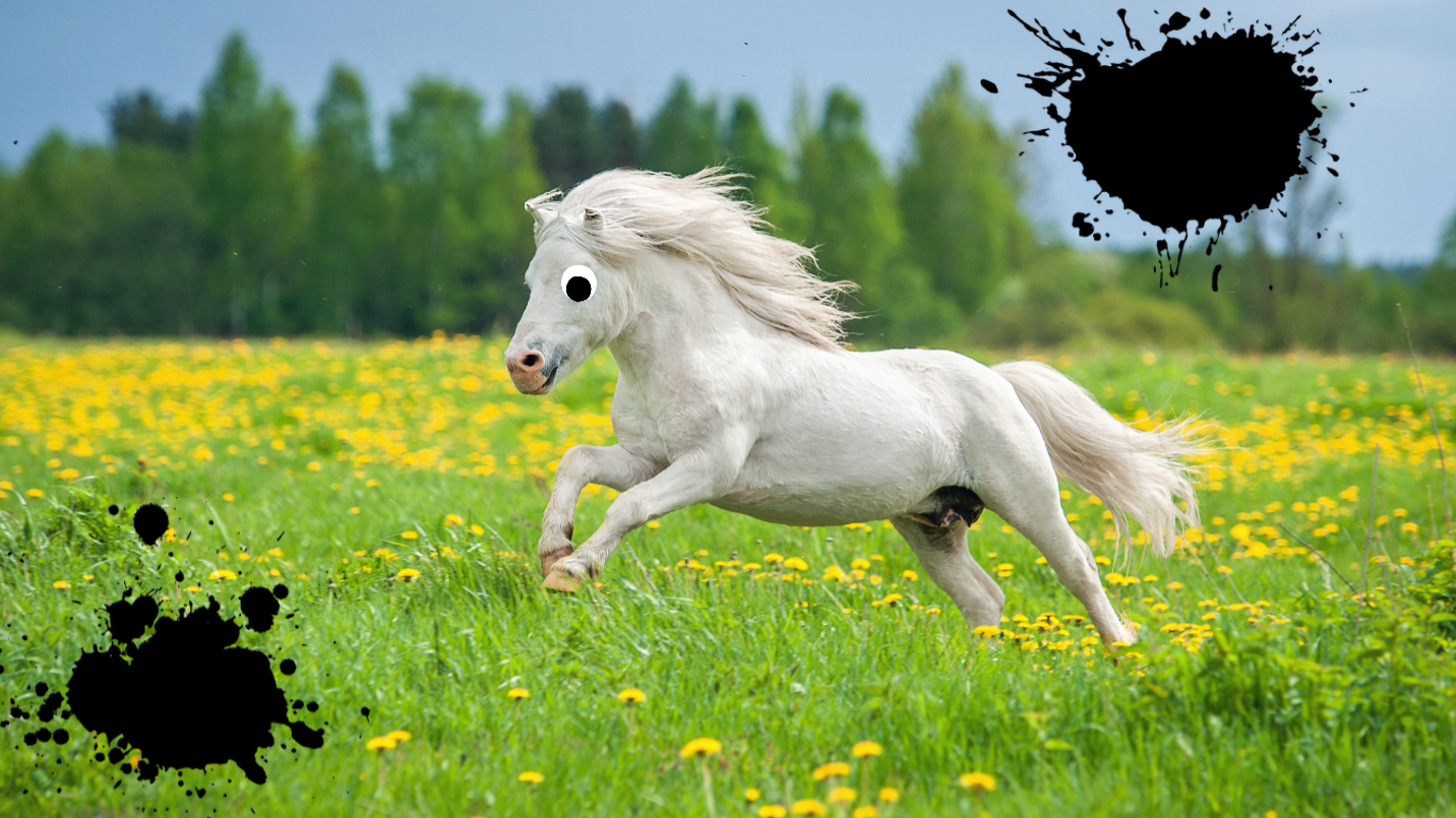 Horse galloping through a field