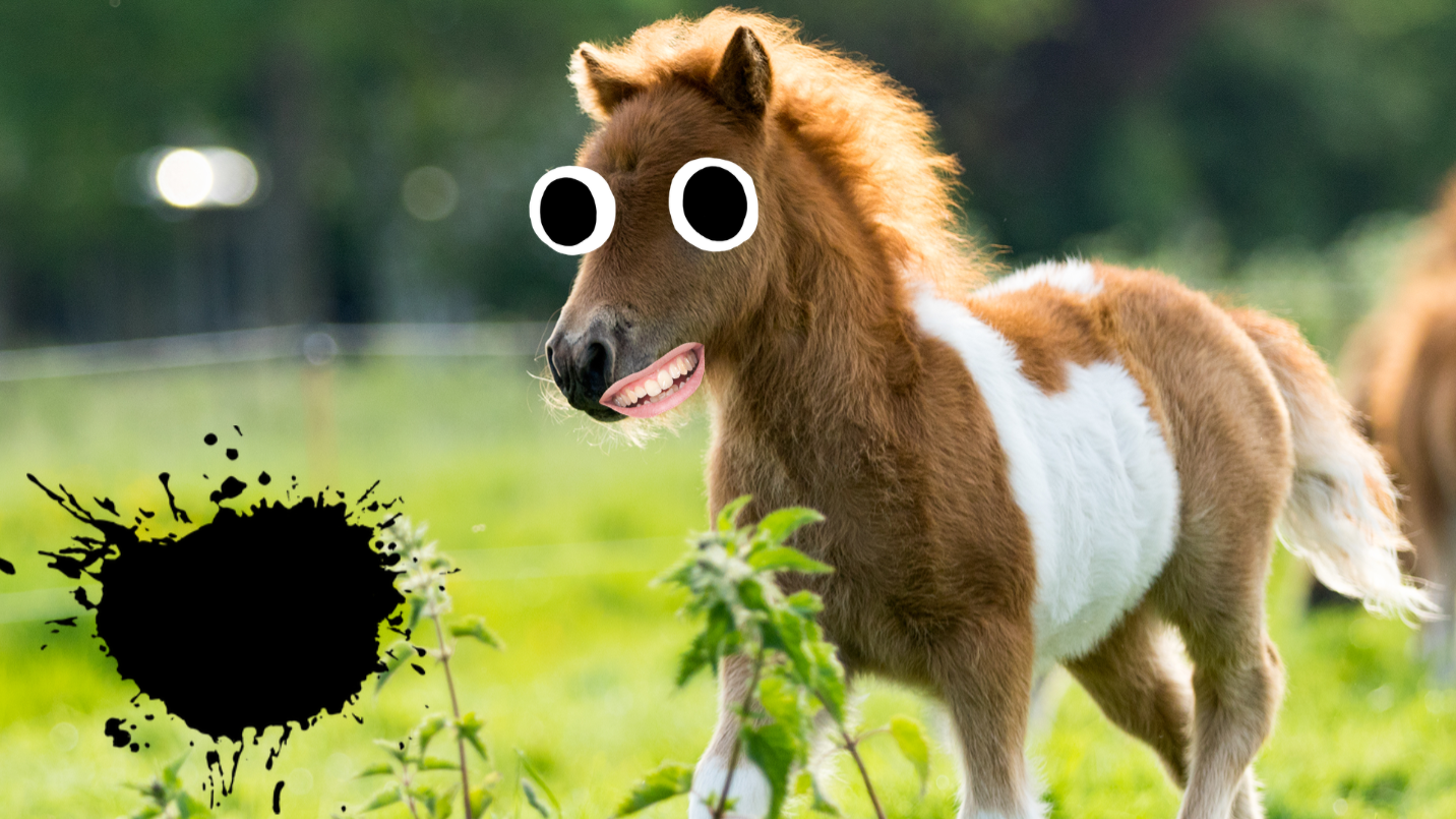 Horse trotting through a field 
