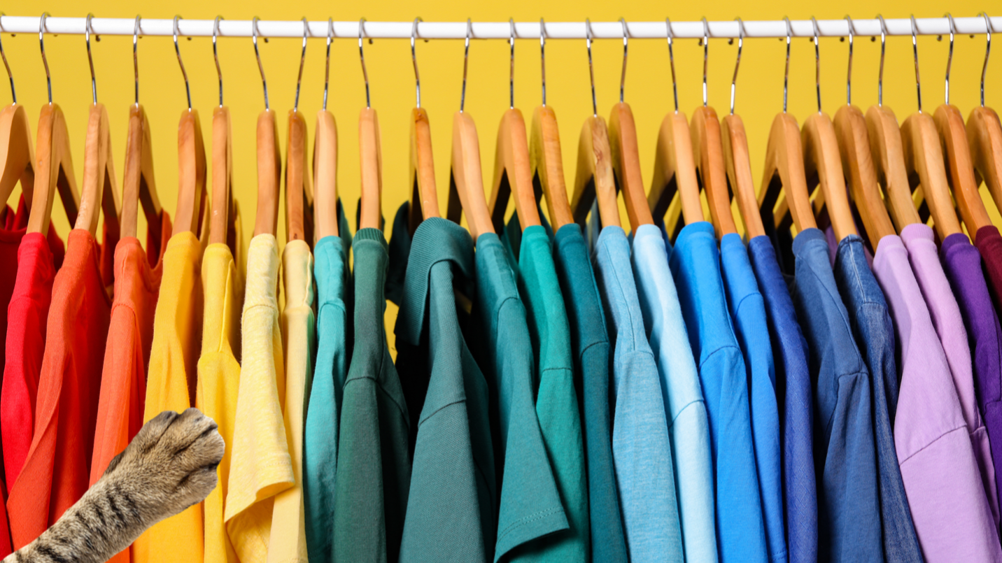 A row of colourful t-shirts