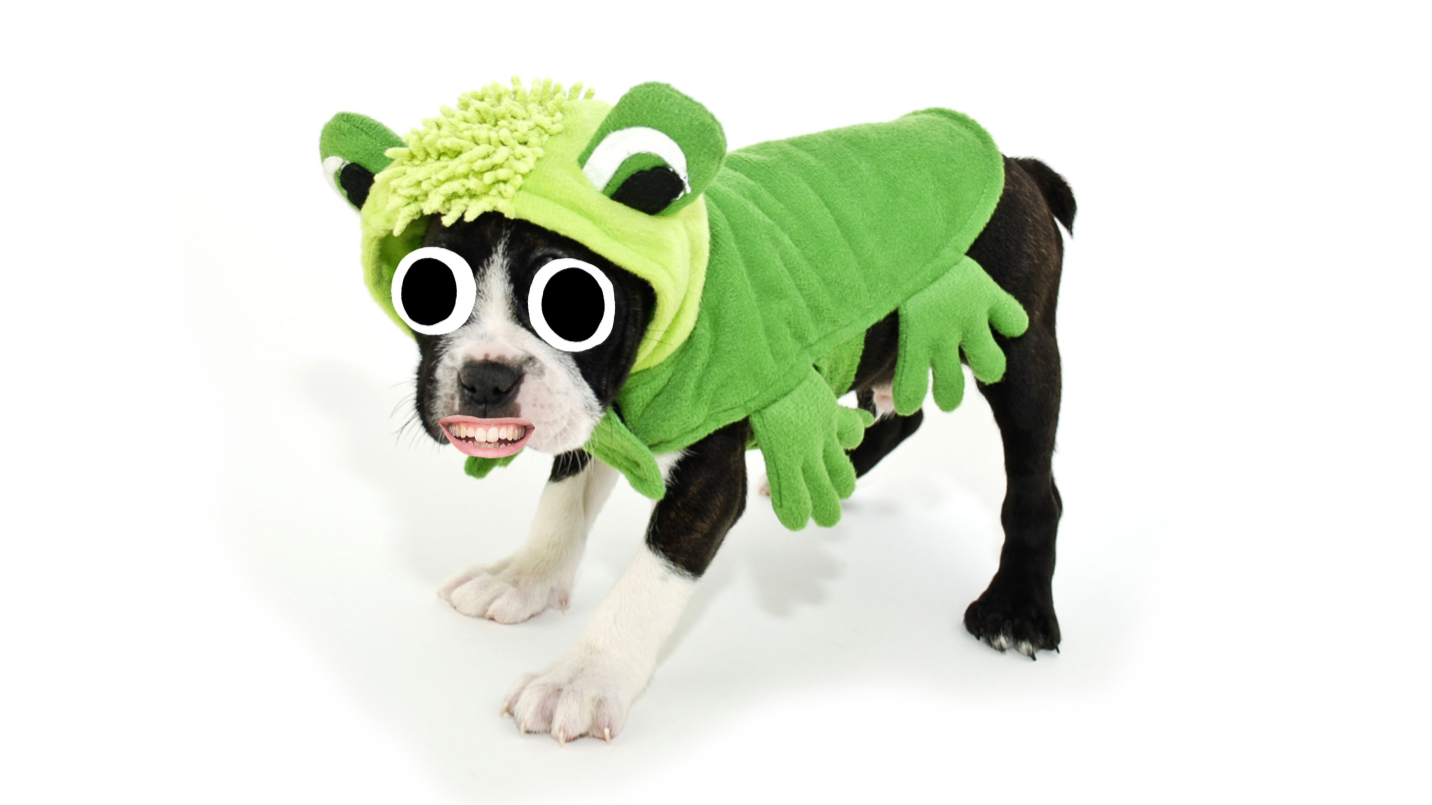 A puppy in a green onesie