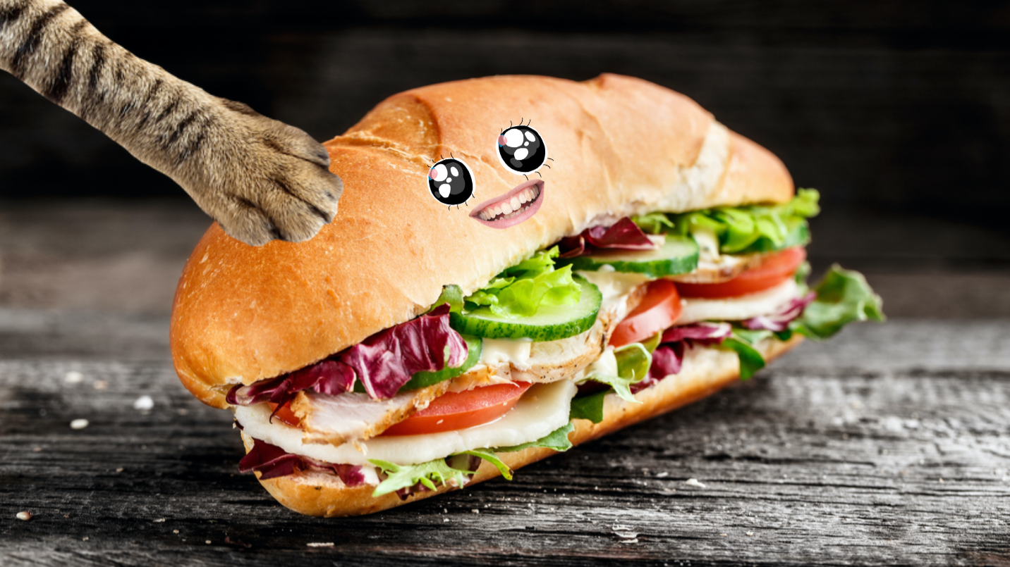 A big sandwich 