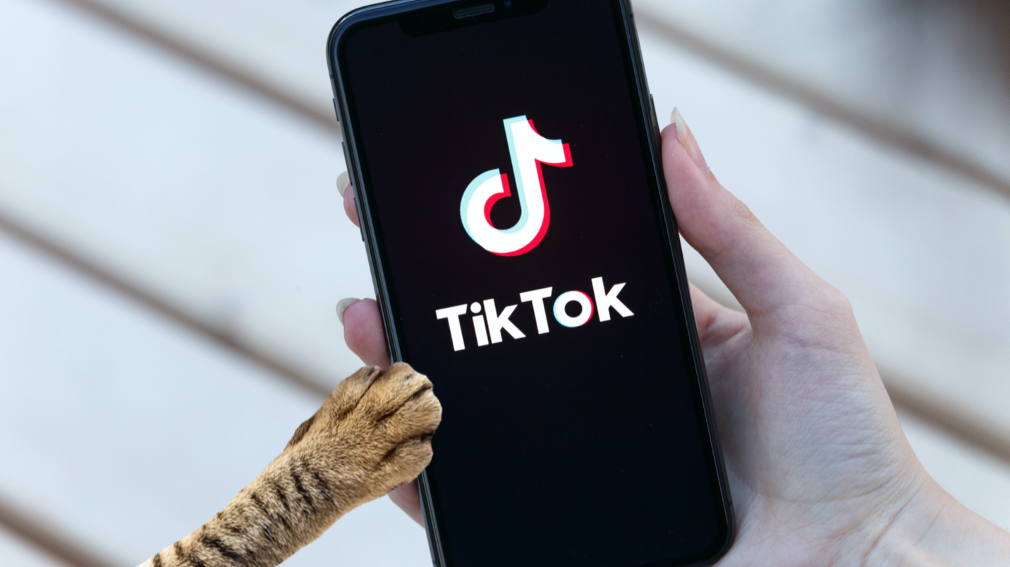 A phone with a Tik Tok app