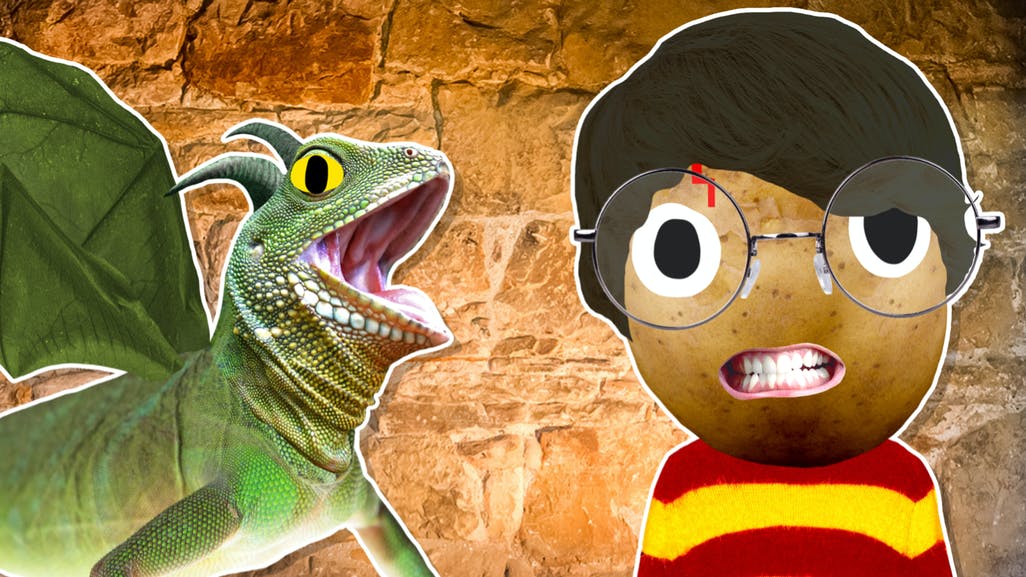 Harry Potter and a scary lizard dragon thing