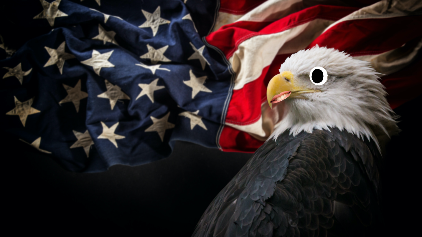 An eagle set against the USA flag 