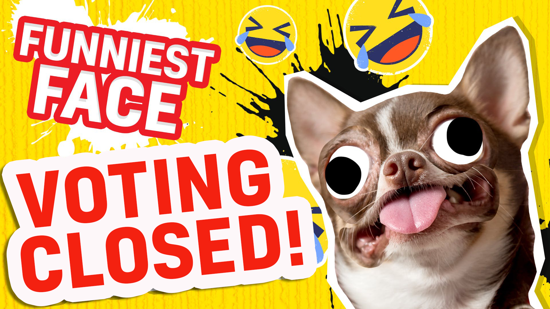 Britain’s Funniest Face - Voting Closed!